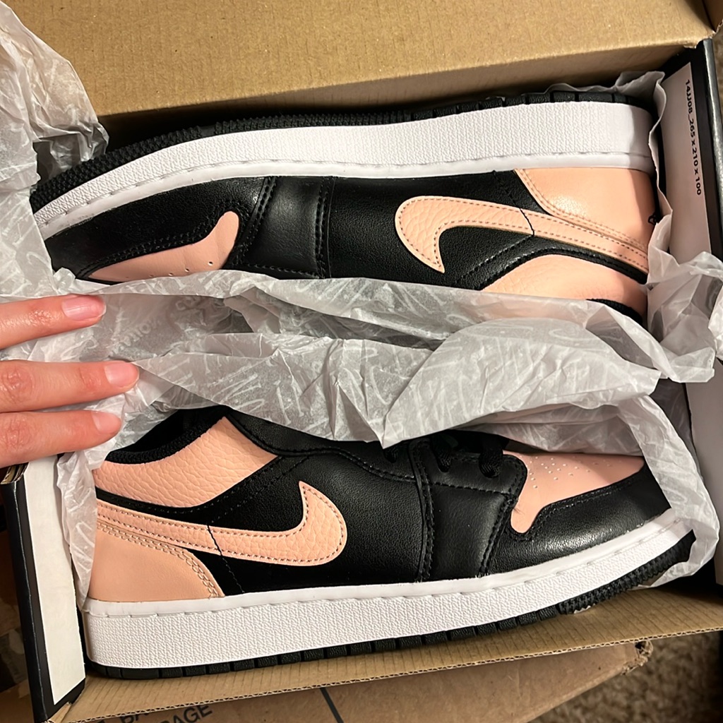 Nike Dunks Light Pink & Black